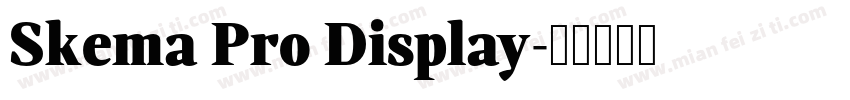 Skema Pro Display字体转换